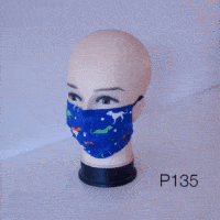 Washable Mask